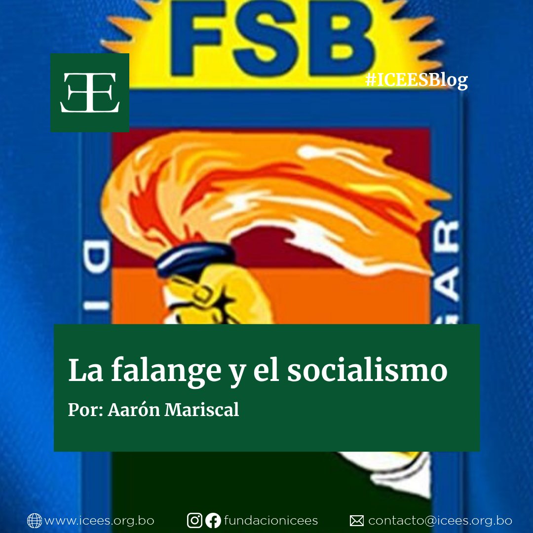 Fundación ICEES tweet media