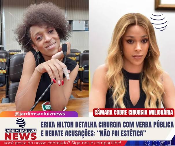 gato abacaxi🥧 tweet media