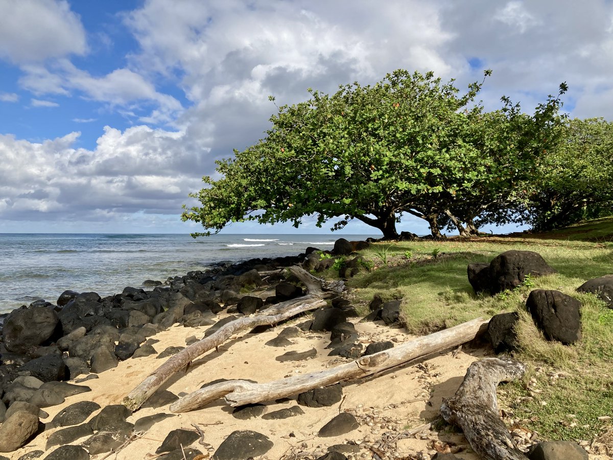 28 Days Until Hawaii