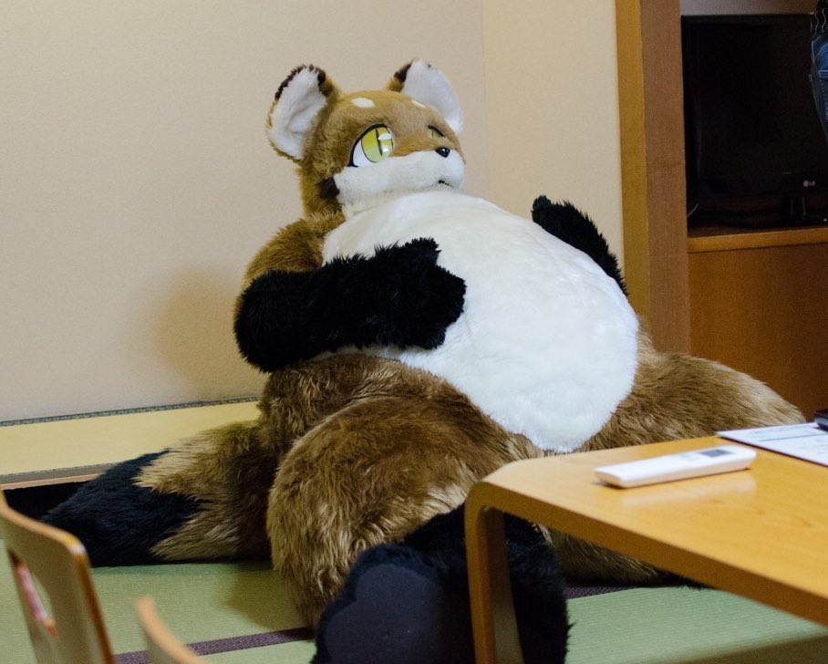 Gryphus@陽狐 tweet media