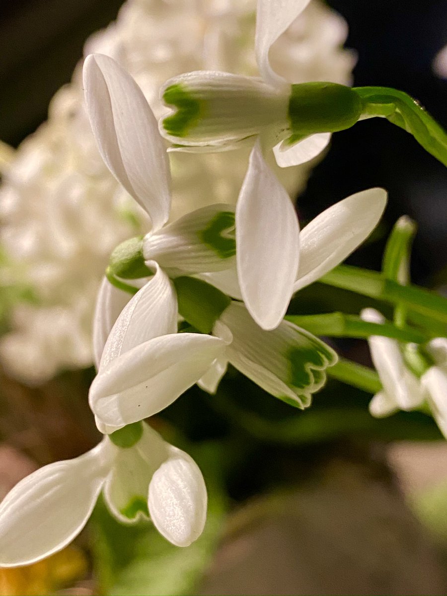 garipgarip tweet media