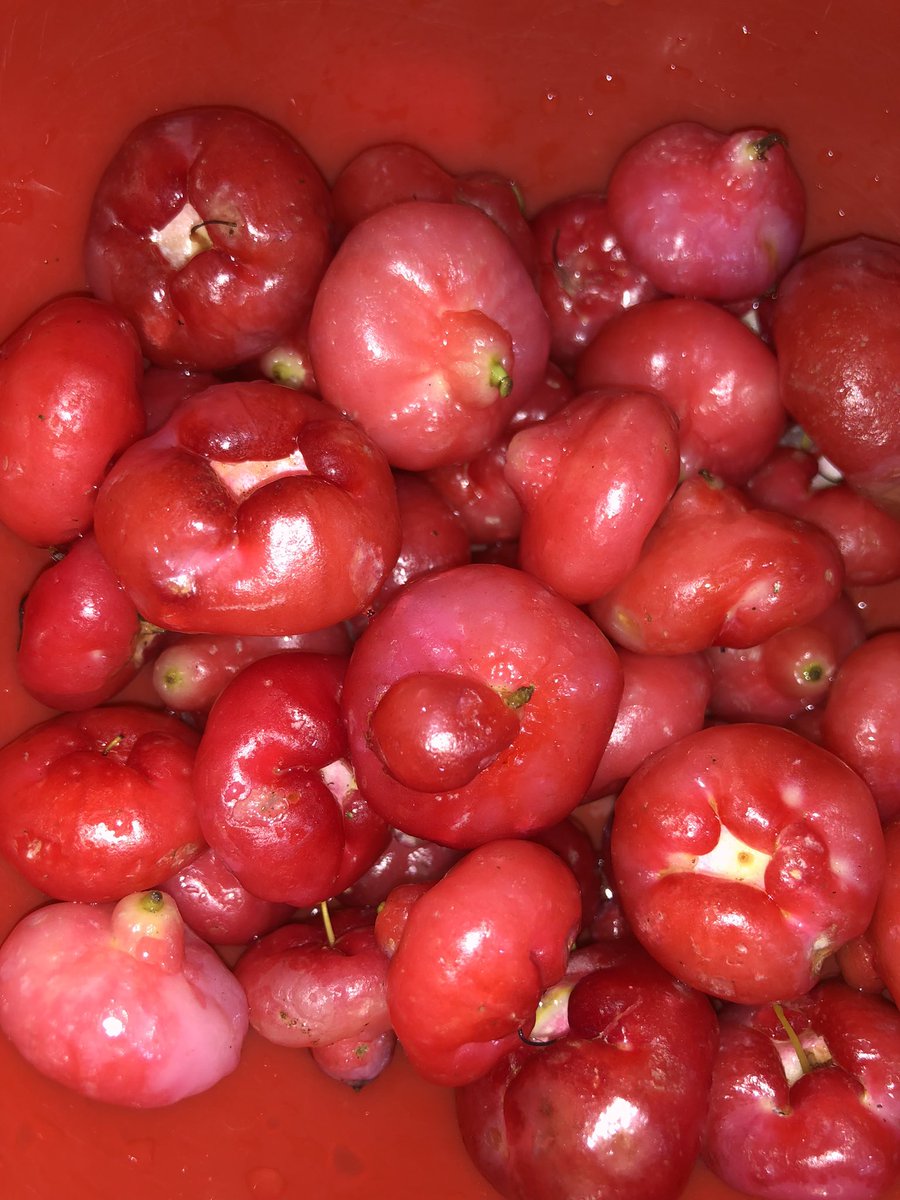 Mama Sinchan 👶🏻 tweet media