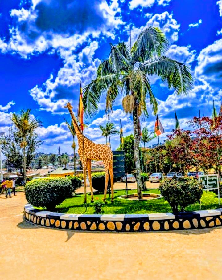 Nsembe Dauda tweet media