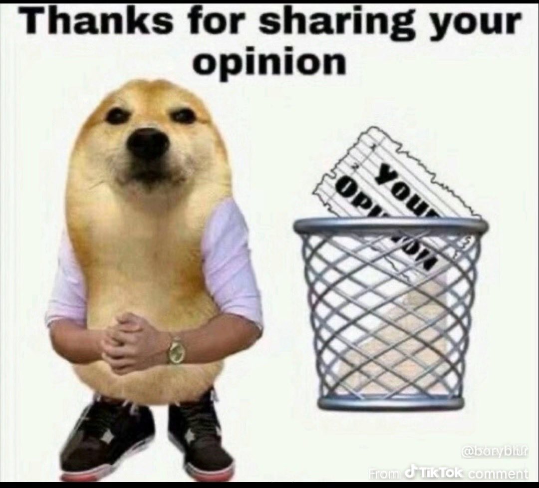 RYAN🦙 tweet media