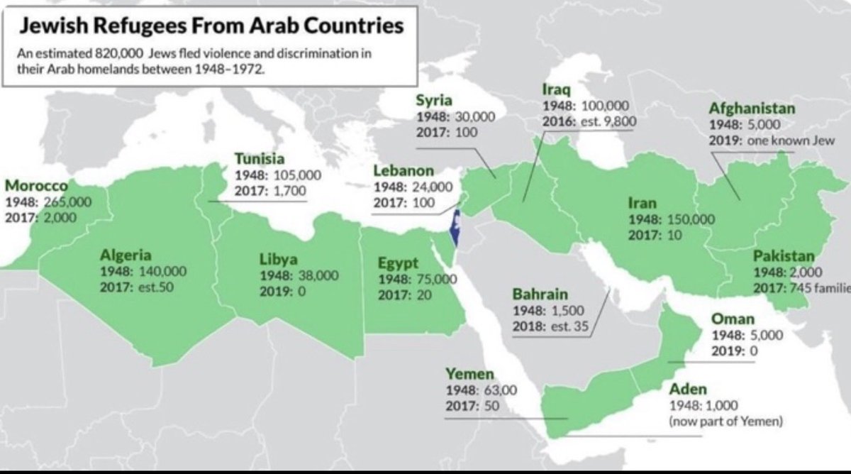 Hairy canary50 ☮️🇦🇺 tweet media