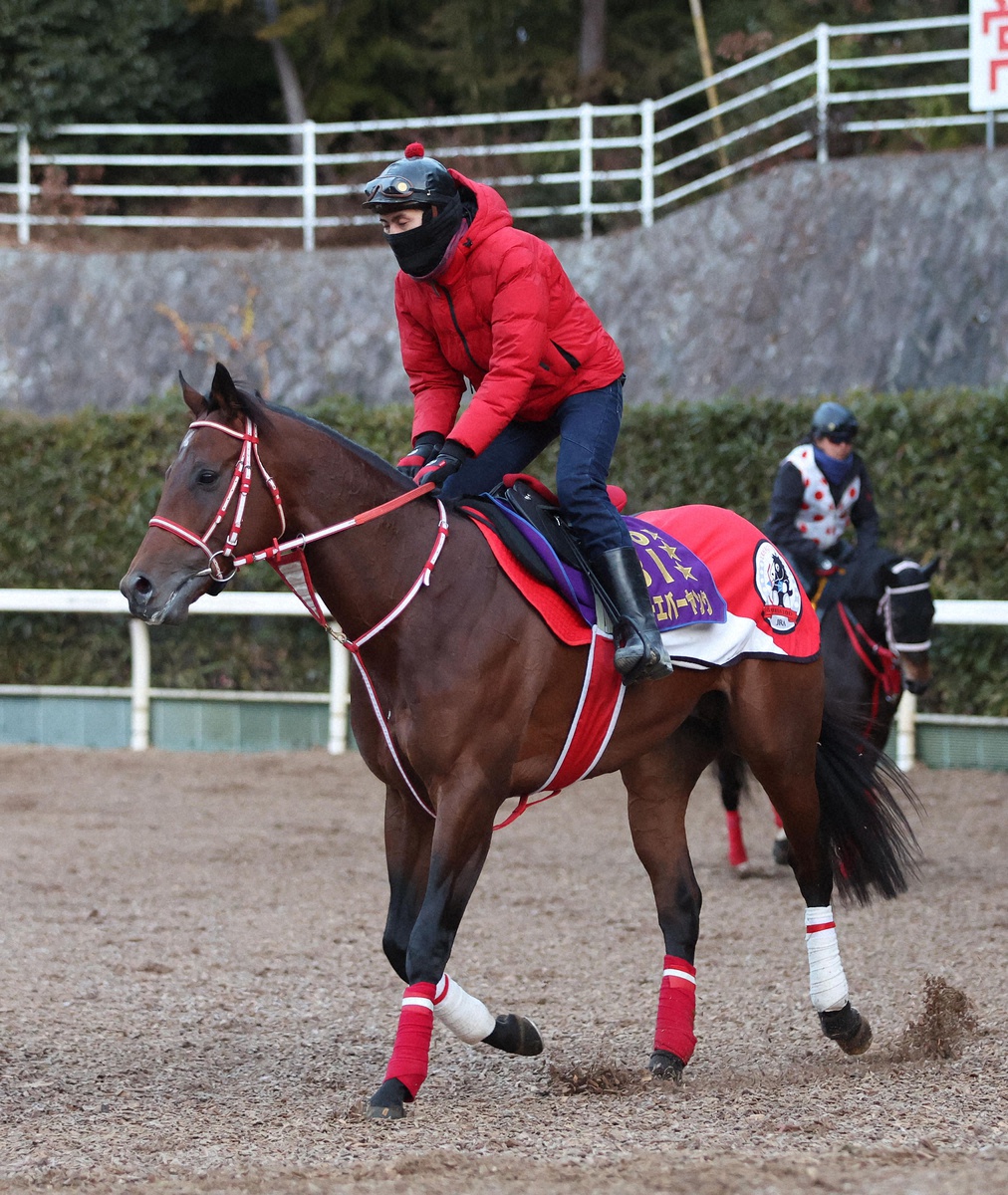 WIN!競馬_総合【公式】 tweet media