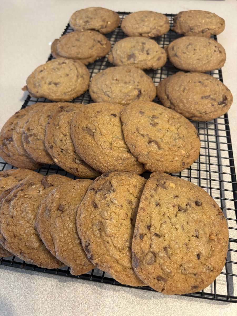 Max Rebo 🫡 ❤️💙(Parody) tweet media