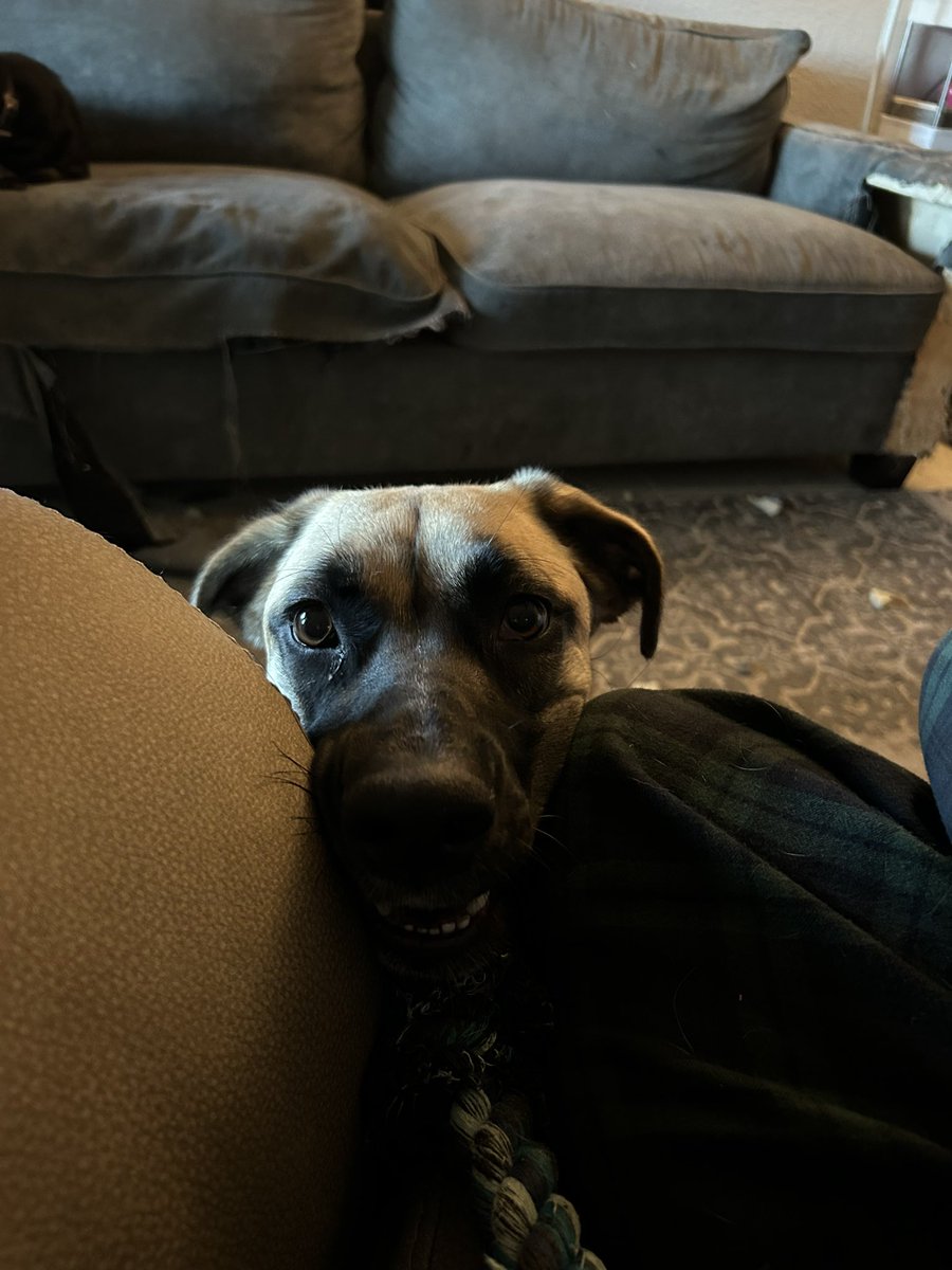 Nick “Darth Libertarius” Pierce 🇺🇸 tweet media