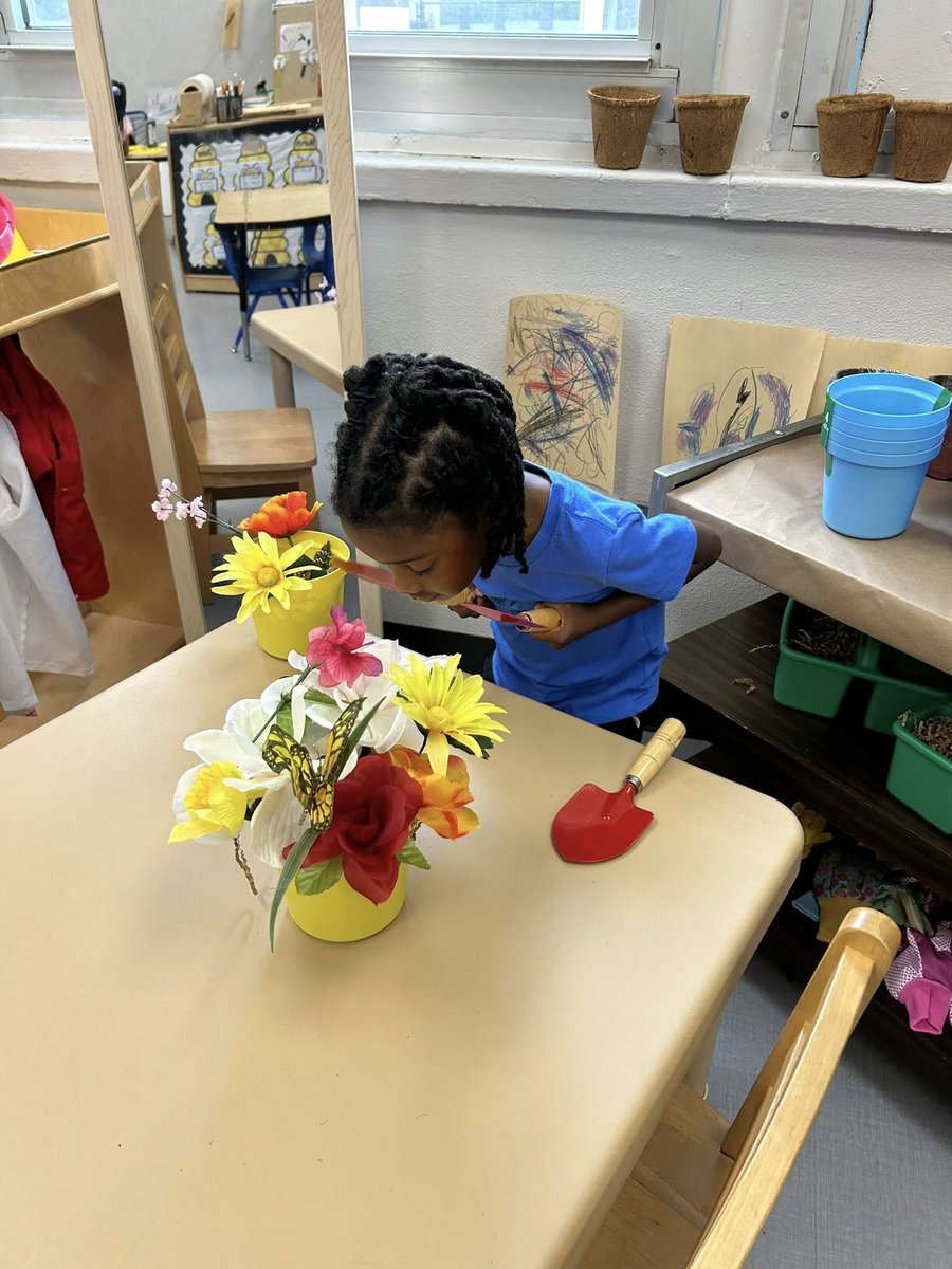 Hattiesburg Public Schools tweet media