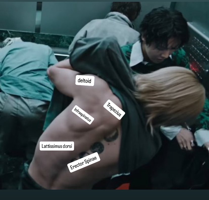 ‏🦋𝚋𝚘𝚖𝚒 tweet media