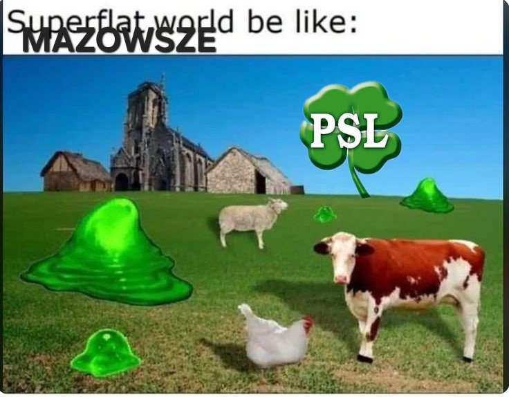 Michalina Kobla tweet media