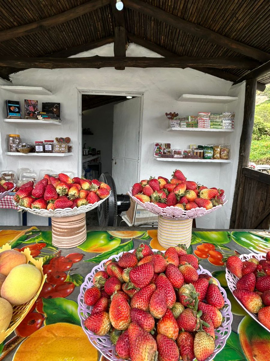 Jorge Villet Salas tweet media