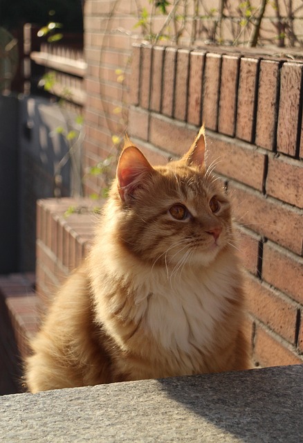 Hidden Energy 🔥 tweet media