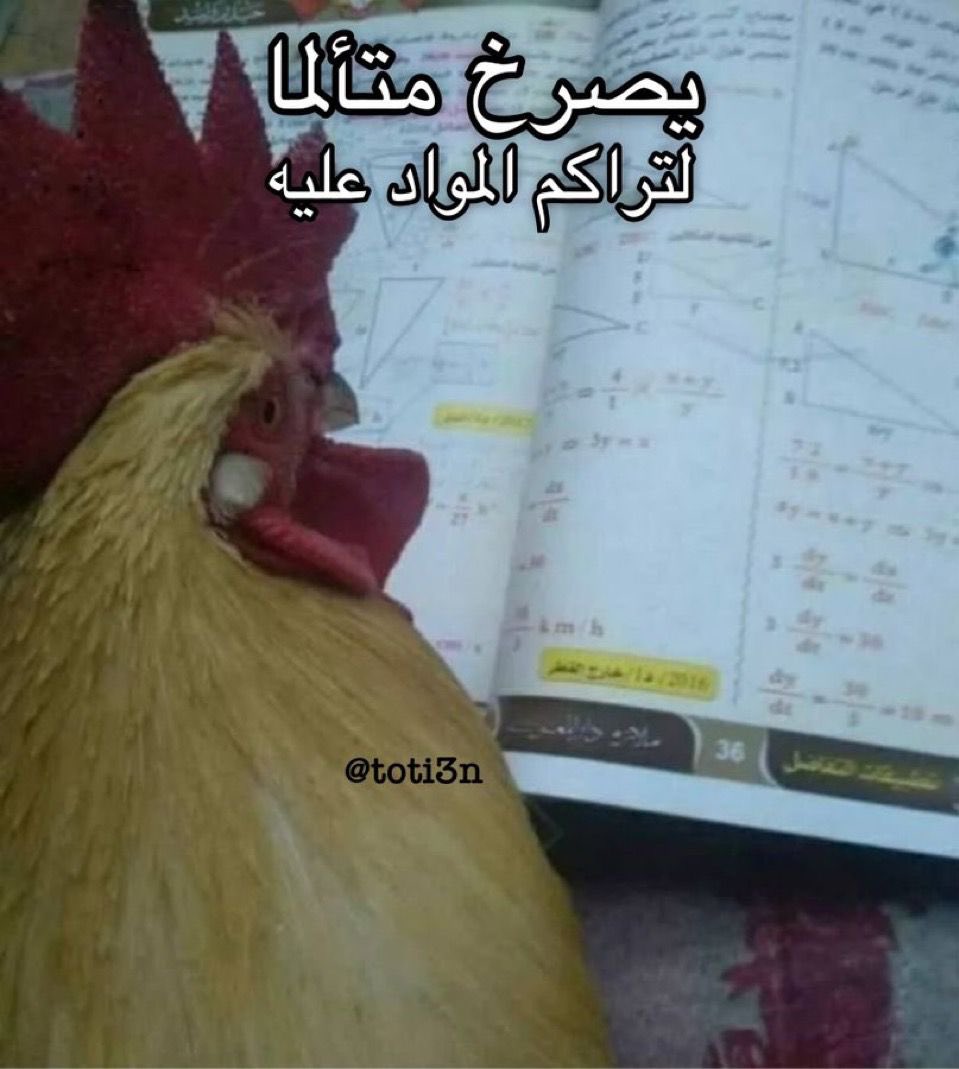 Rayan alshehri tweet media