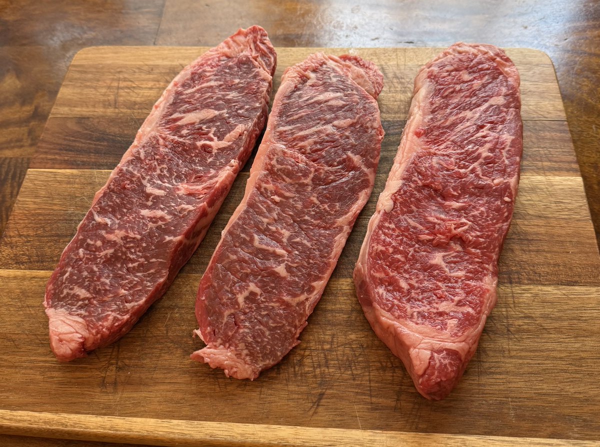 Adam Rossi tweet media