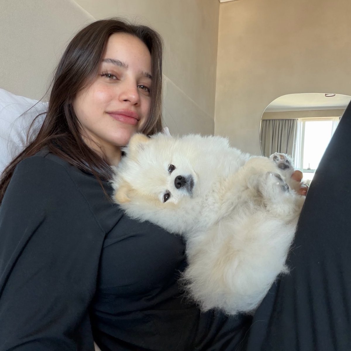 Josefina tweet media