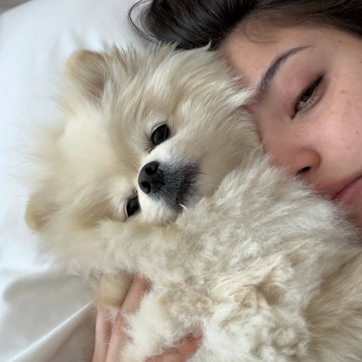 Josefina tweet media