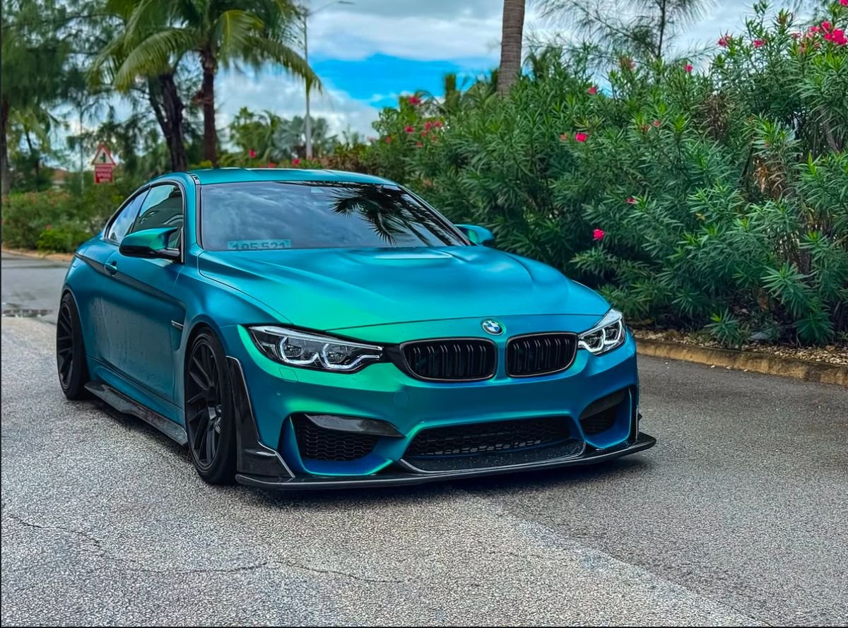 Caroline Clifford tweet media