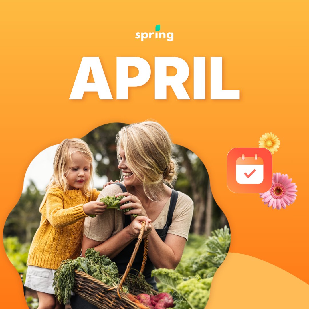 Spring Financial tweet media