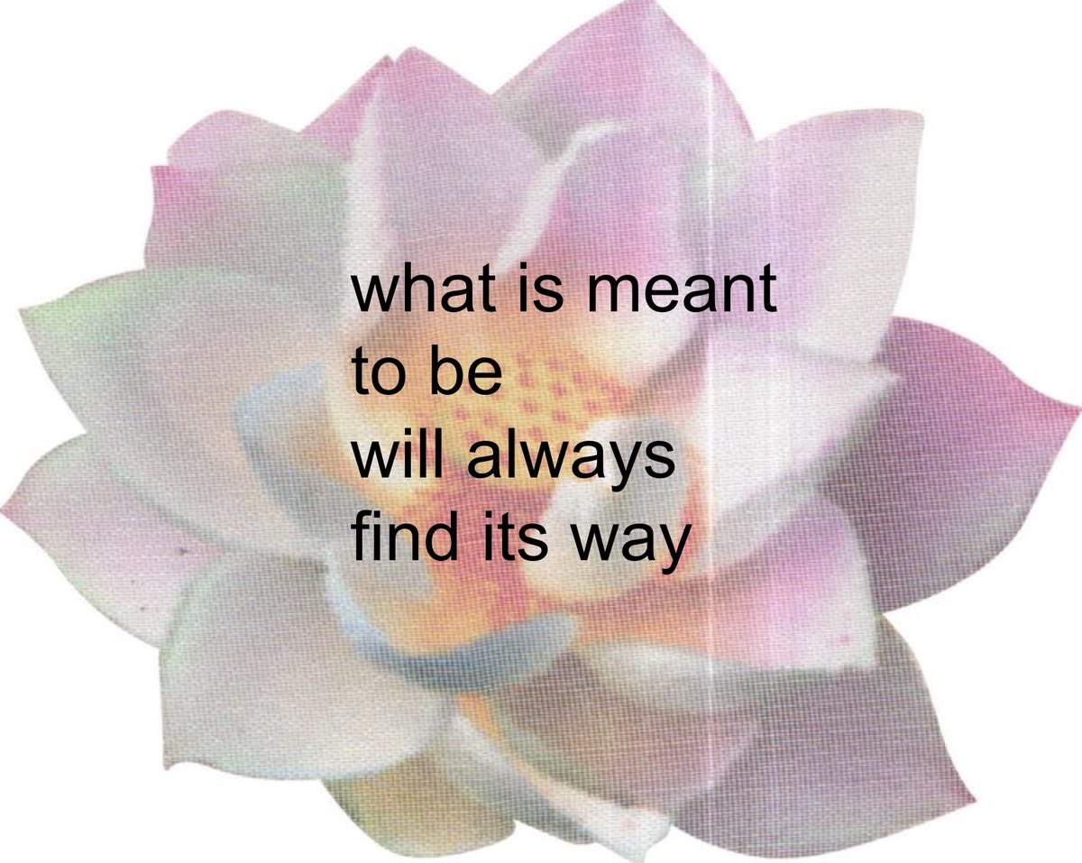 laya 𝜗ৎ ENHYPEN IS 7 tweet media