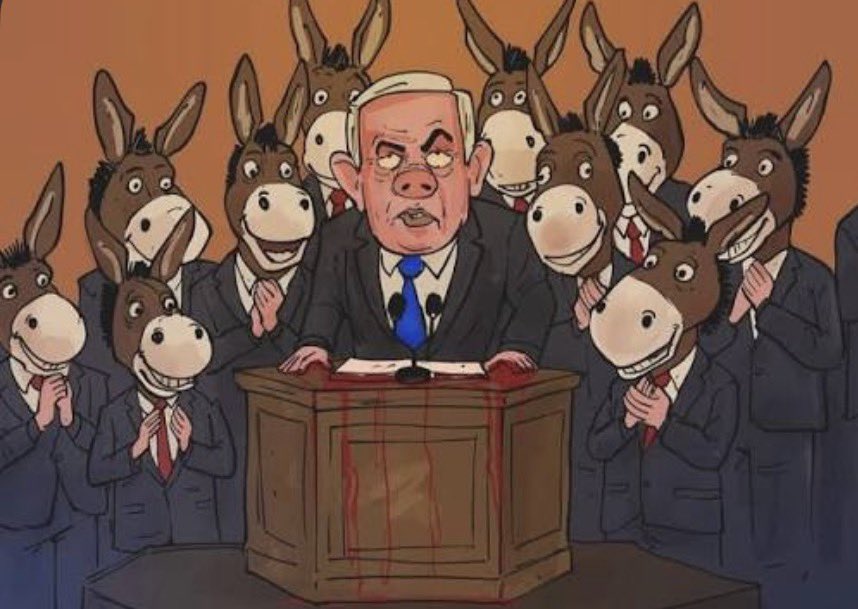 Muhammadonn tweet media