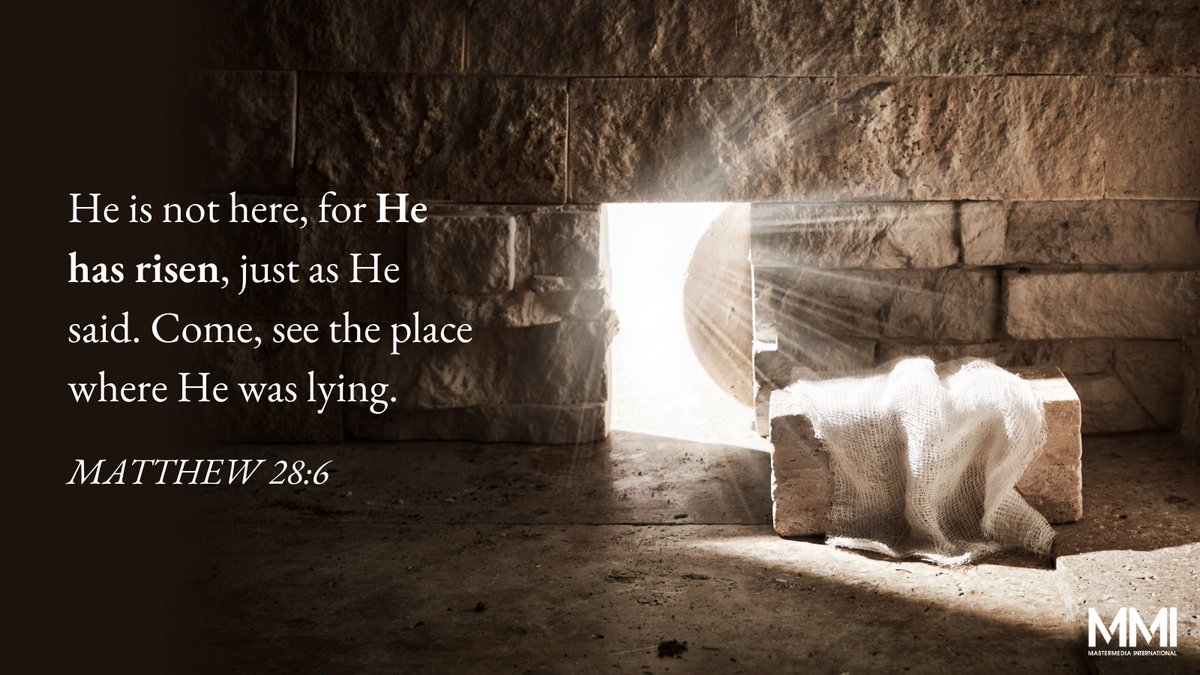 Mastermedia Intl tweet media