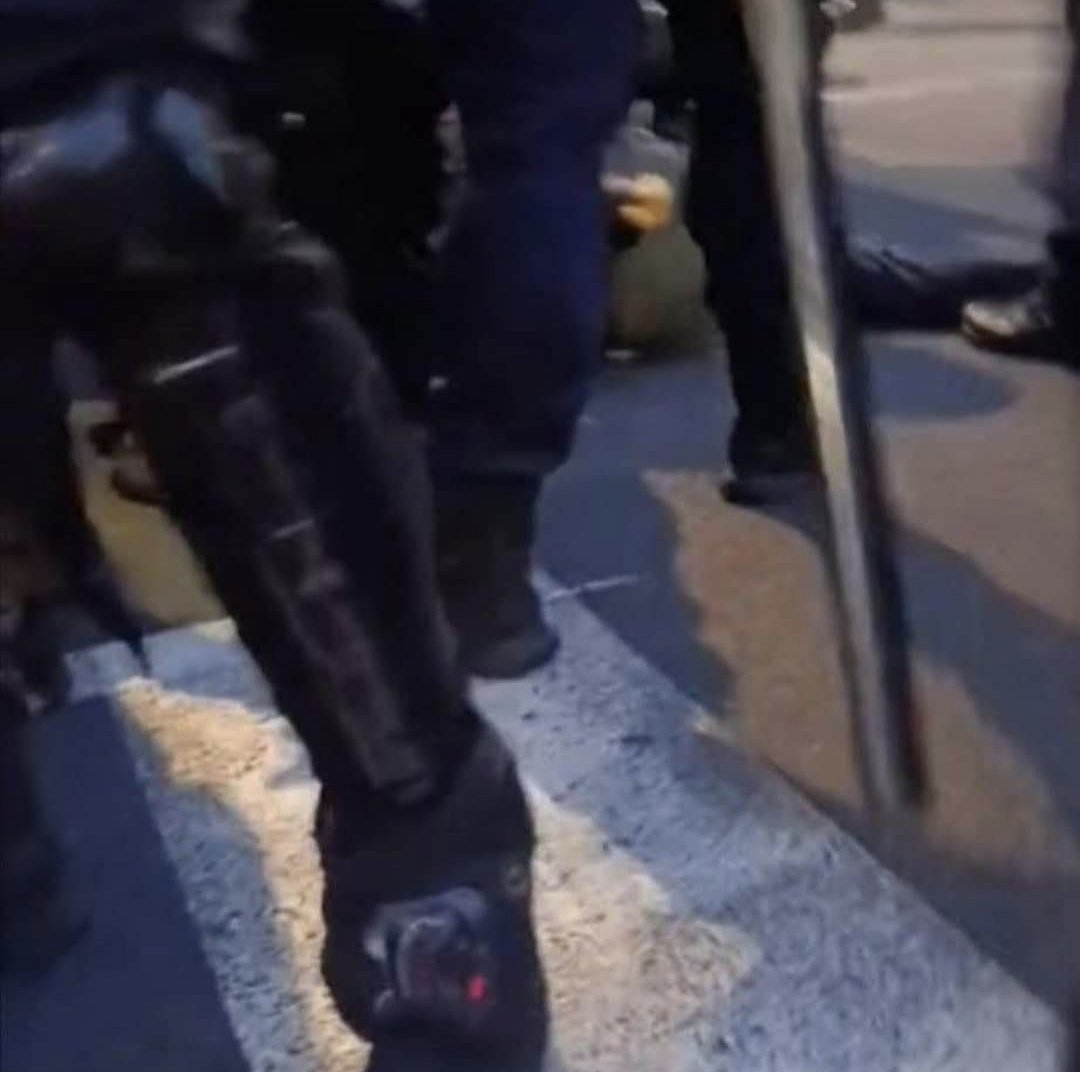 Marin Bodirogić tweet media