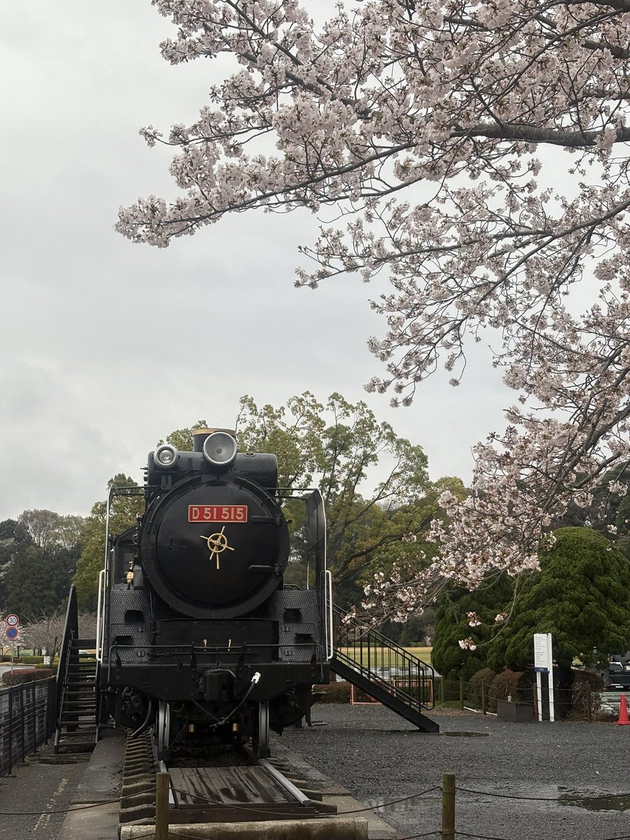 郡司真人 @水戸市 tweet media