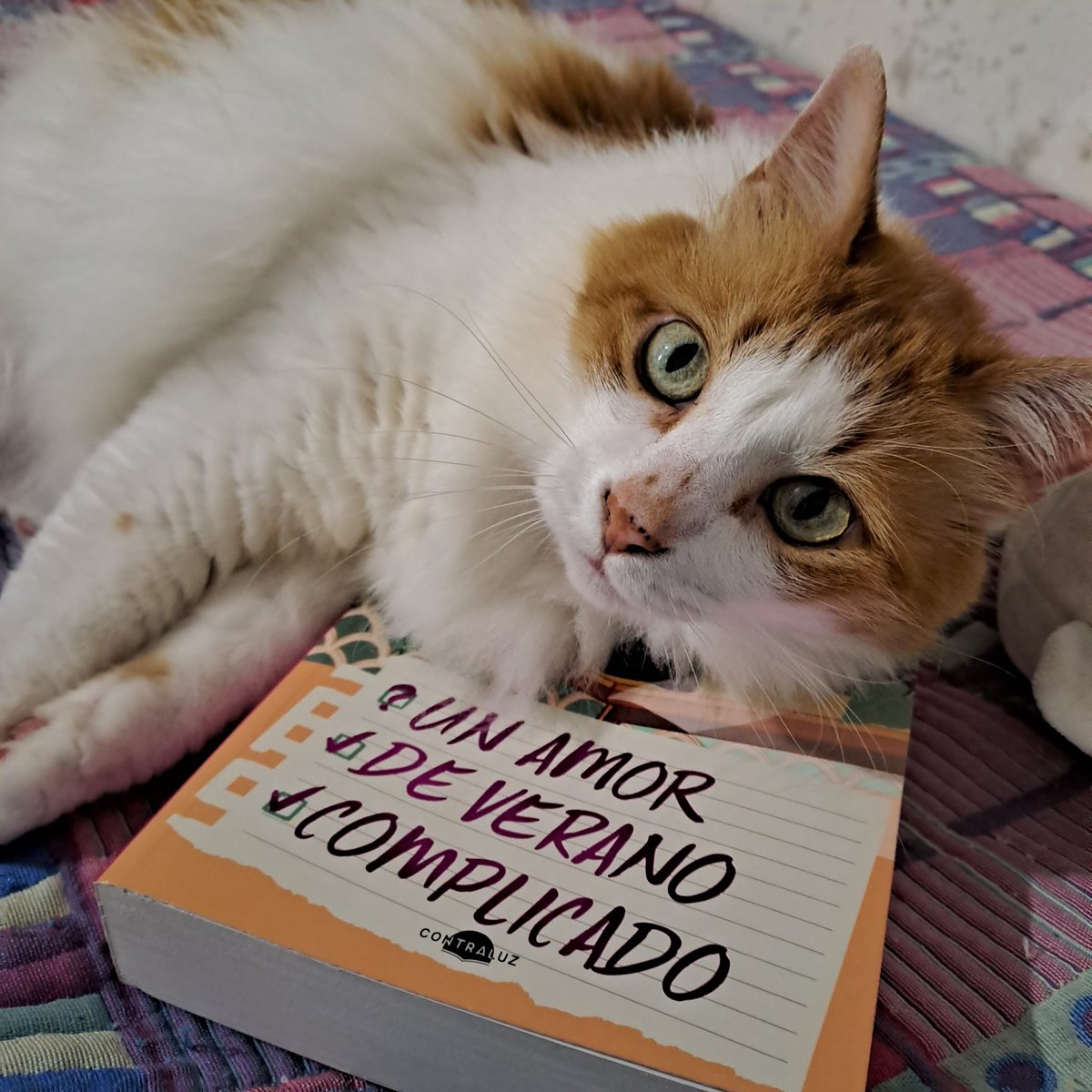 Zaw está nerviosa lvs Elain, Lyra & Eunbin 💜🍉 tweet media