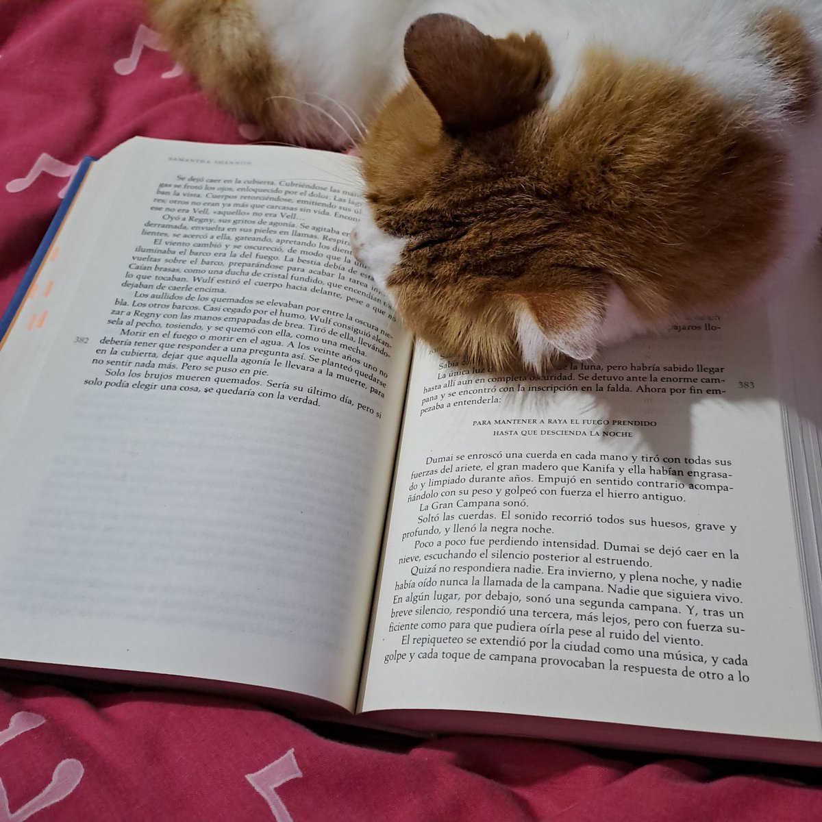 Zaw está nerviosa lvs Elain, Lyra & Eunbin 💜🍉 tweet media