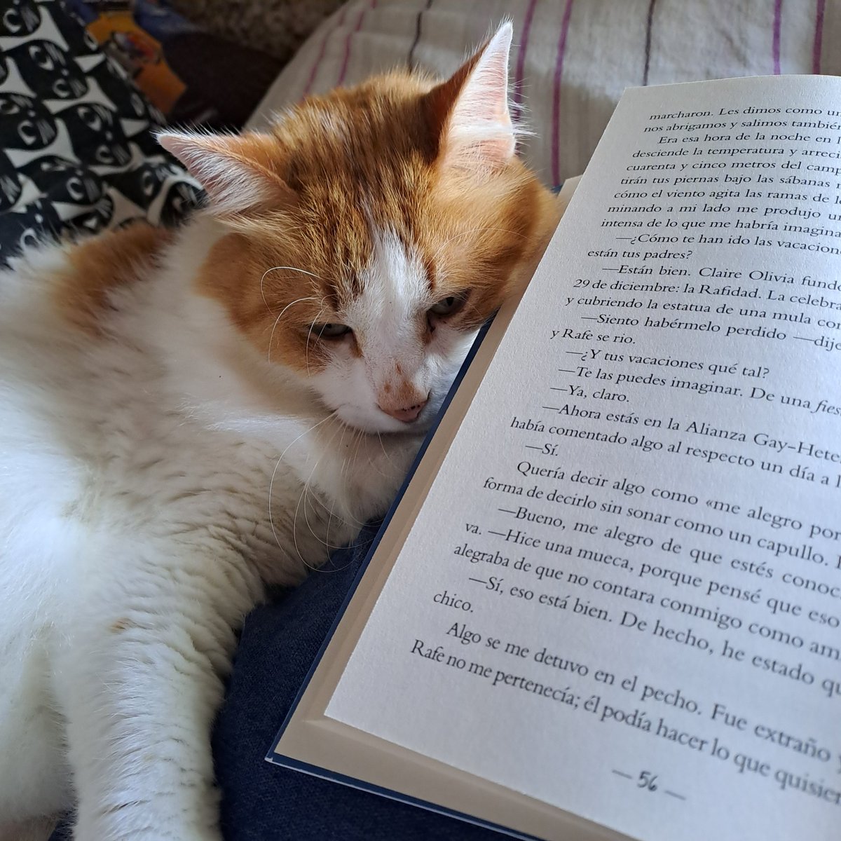 Zaw está nerviosa lvs Elain, Lyra & Eunbin 💜🍉 tweet media