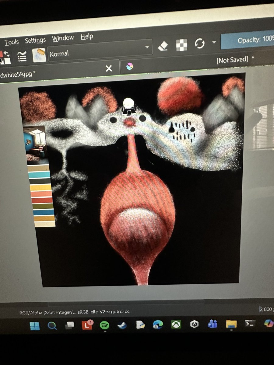 Sun Lariat tweet media