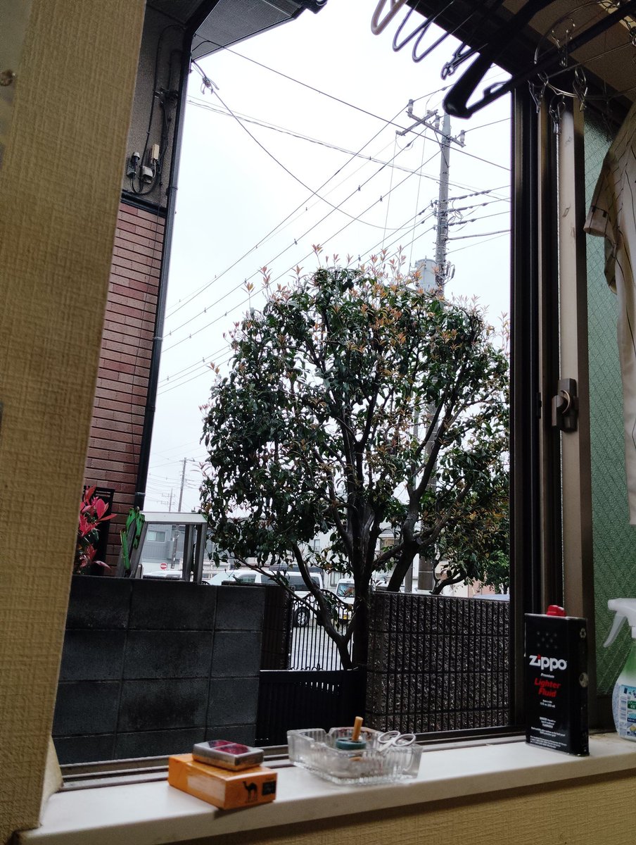 槻舘つかさ@川口市の画家◢⁴⁶⚔𓅟 tweet media