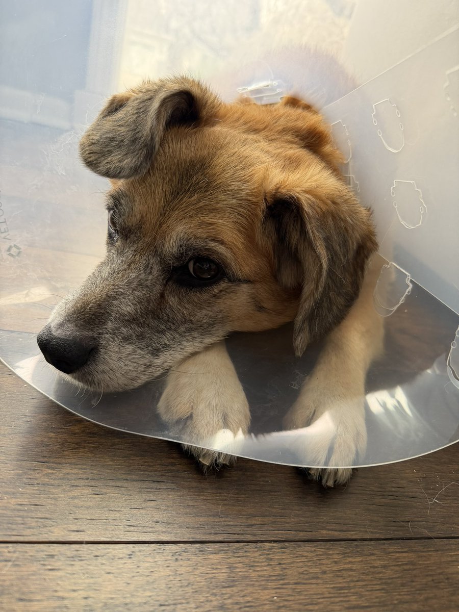 Alex Gold tweet media