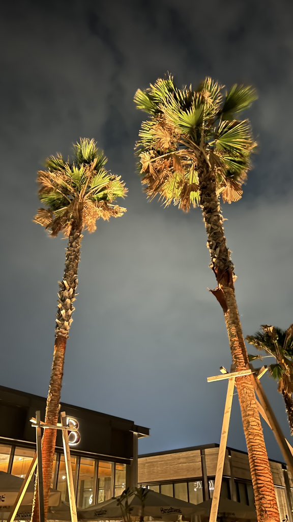 R ✧₊˚ ⊹ tweet media