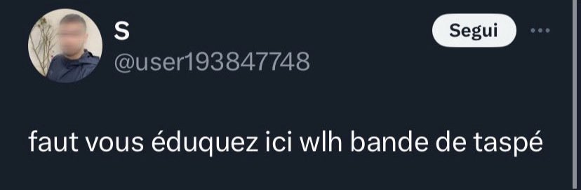 Lua🇦🇱 tweet media