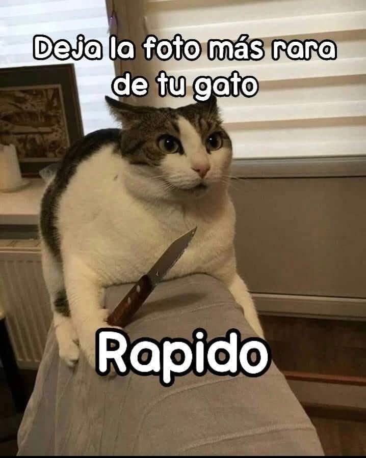 Memes Universidad Nacional tweet media