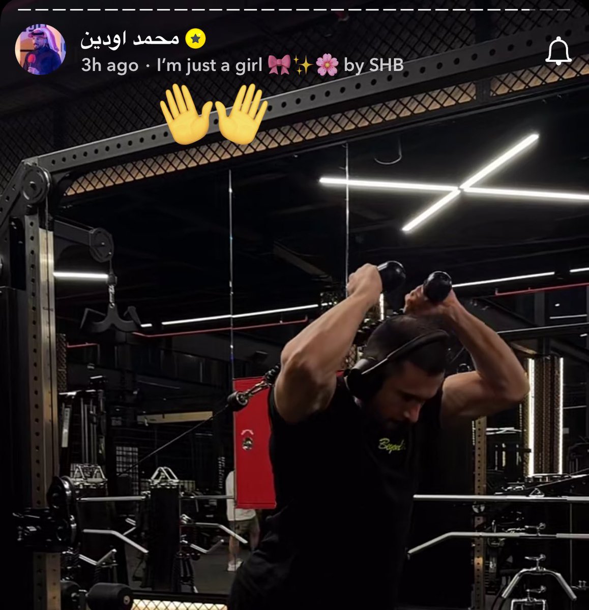 Sunflower tweet media