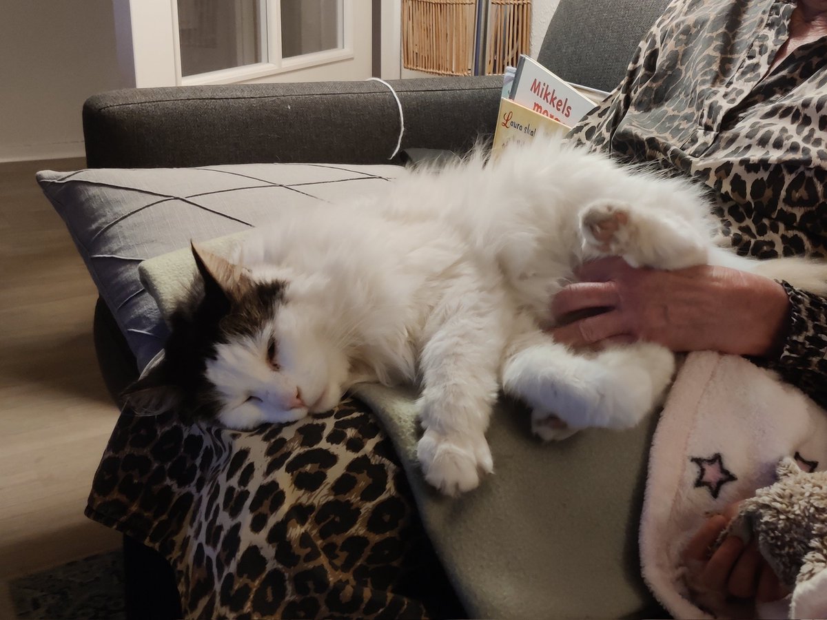 FluffyProppy's tweet photo. @rachelgoes262 HI FRIEND 🥰 I've been VERY busy https://t.co/KXh3n6jrAT