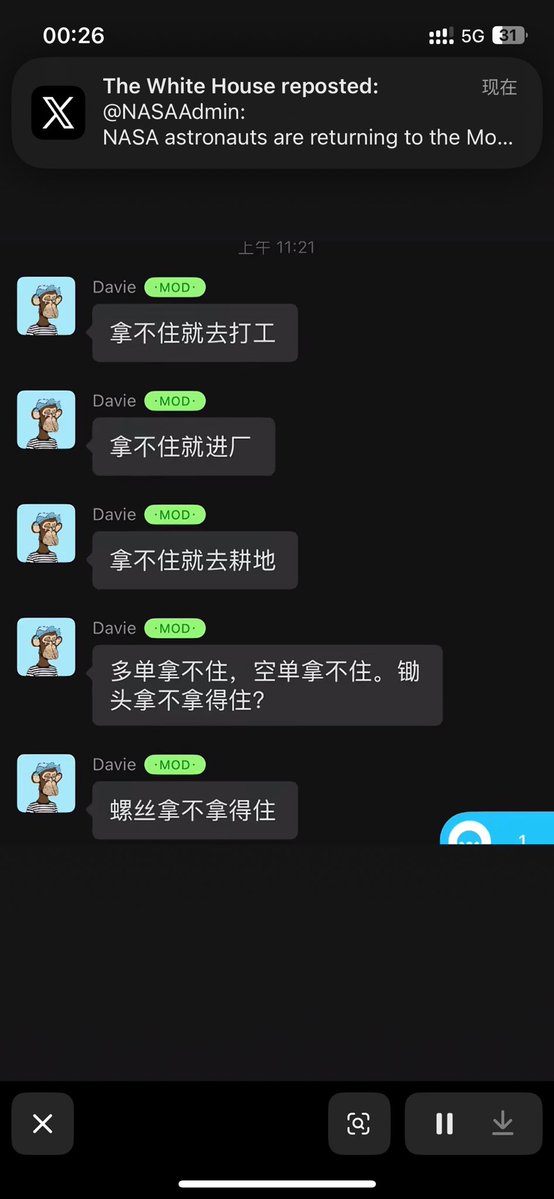 打枣🐻 tweet media