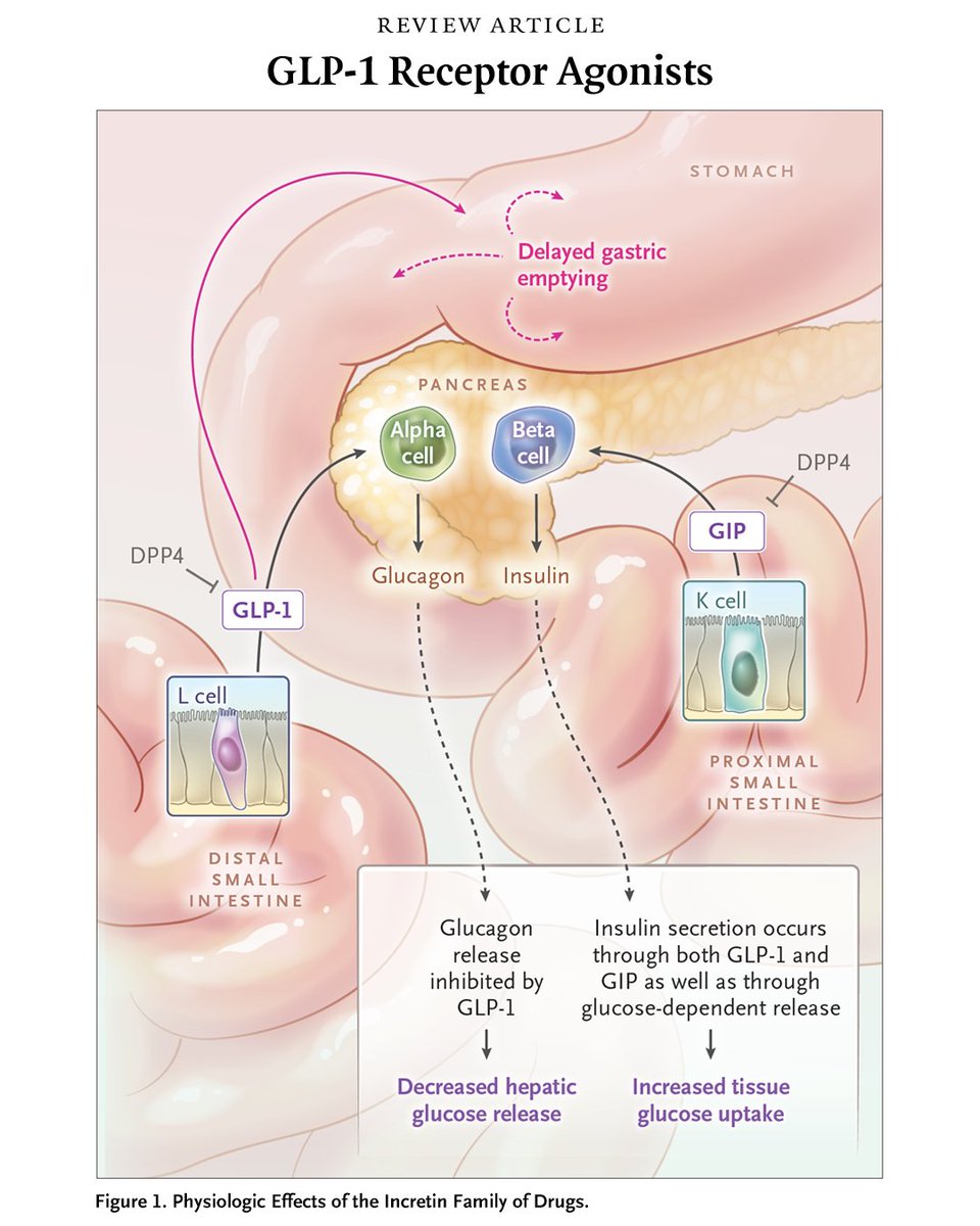 NEJM tweet media