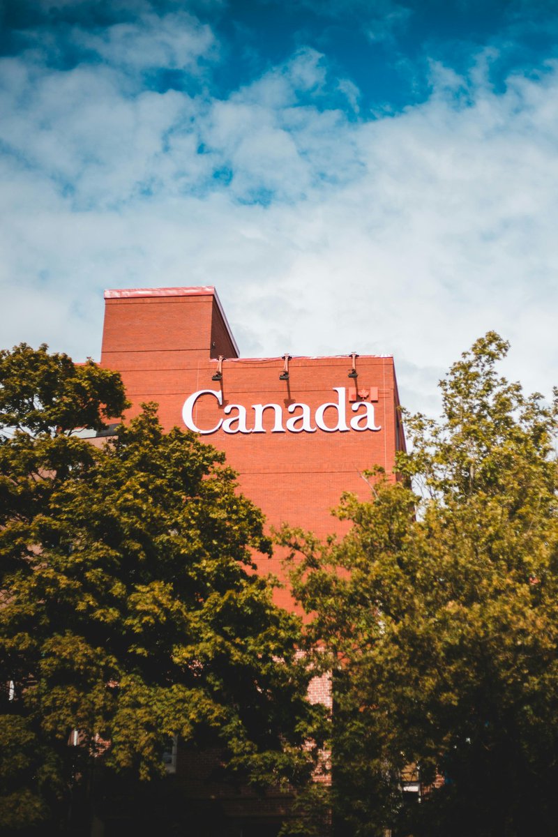 _I_am_He's tweet image. A successful transition from student visa to PR requires a clear and strategic approach.

Choose the right course, gain Canadian work experience, secure your post-study work permit, and position yourself for the right PR pathway.
.
.
 #canadavisa #StudentVisa #StudyInCanada