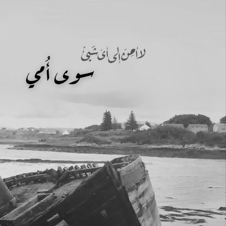 النوييير 💞 tweet media