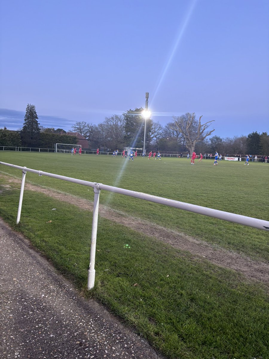 New Forest Groundhopper tweet media