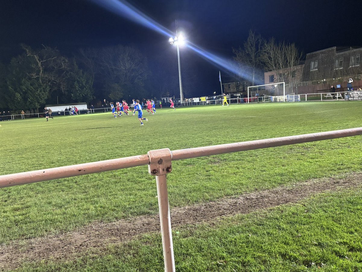 New Forest Groundhopper tweet media