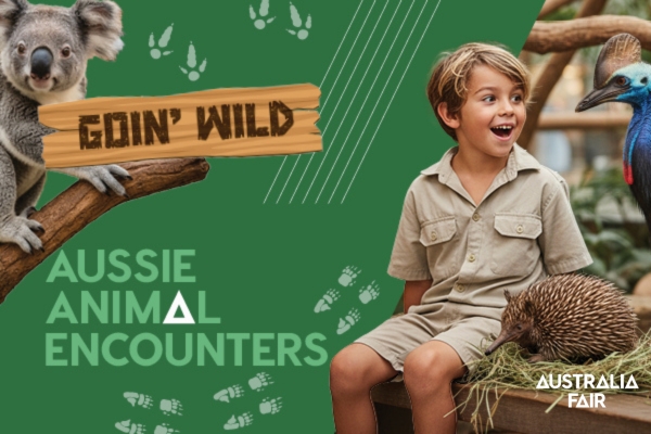 1029 Hot Tomato tweet media