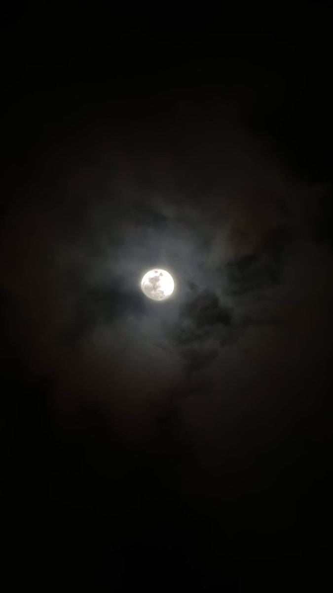 شينسوي🌸 tweet media