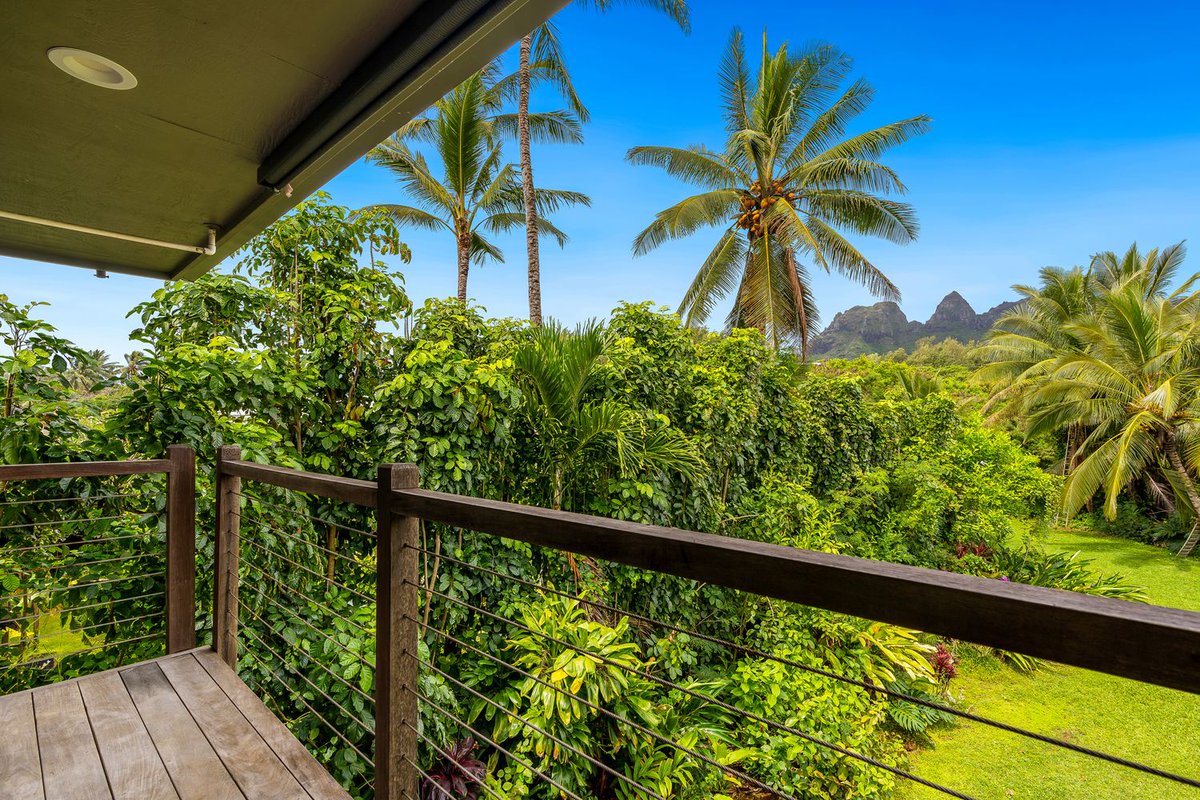 Hawaiʻi Life tweet media