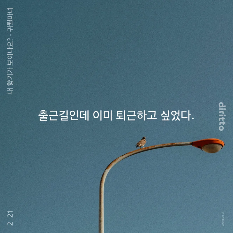칵테로니 tweet media