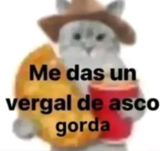 twedK0Y's tweet photo. yo motivandome en el espejo https://t.co/odnSwUhcvr